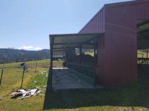 Side View Garage with Overhang | Environmental Impact Steel