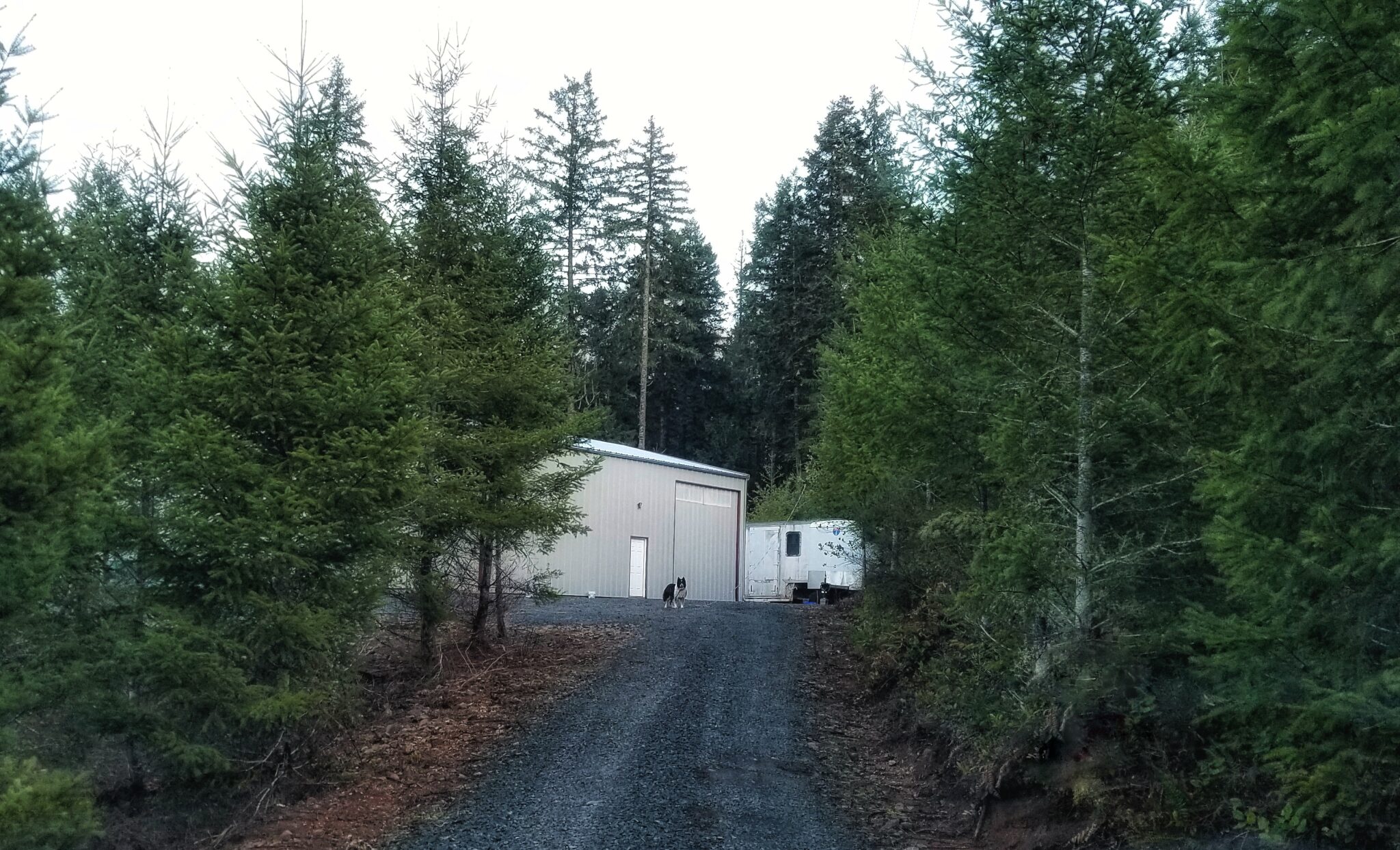 Steel Building Case Study: 40x60x16 Agricultural Equipment Storage in Oregon