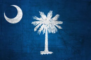 South Carolina State Flag Metal